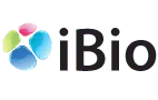 iBio